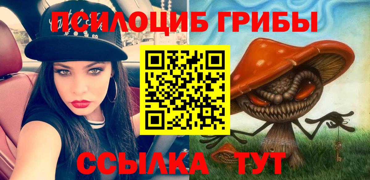 Коряжма  Псилоцибиновые грибы мухоморы  Вход с VPN  Галлюциногенные грибы Psilocybe 