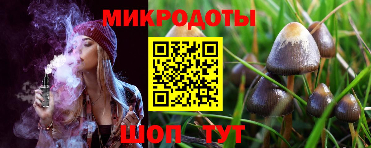 Галлюциногенные грибы Psilocybe Коряжма